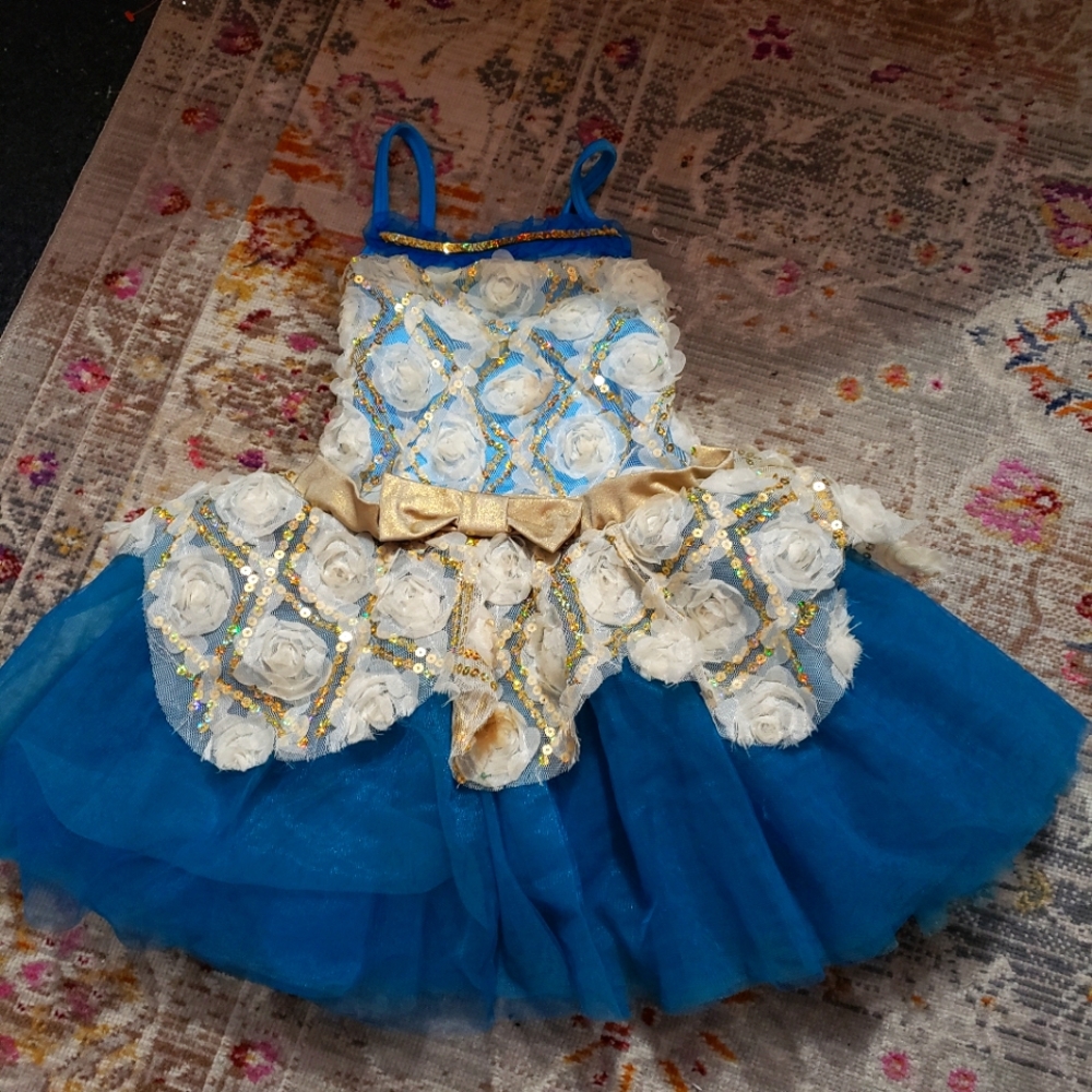 Girls performance dance dress